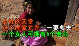 女人天堂在线观看,揭秘神秘网络世界的魅力之旅