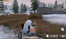 和平精英载具车皮最新爆料,神秘设计引玩家热议